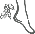 Quiropodia
